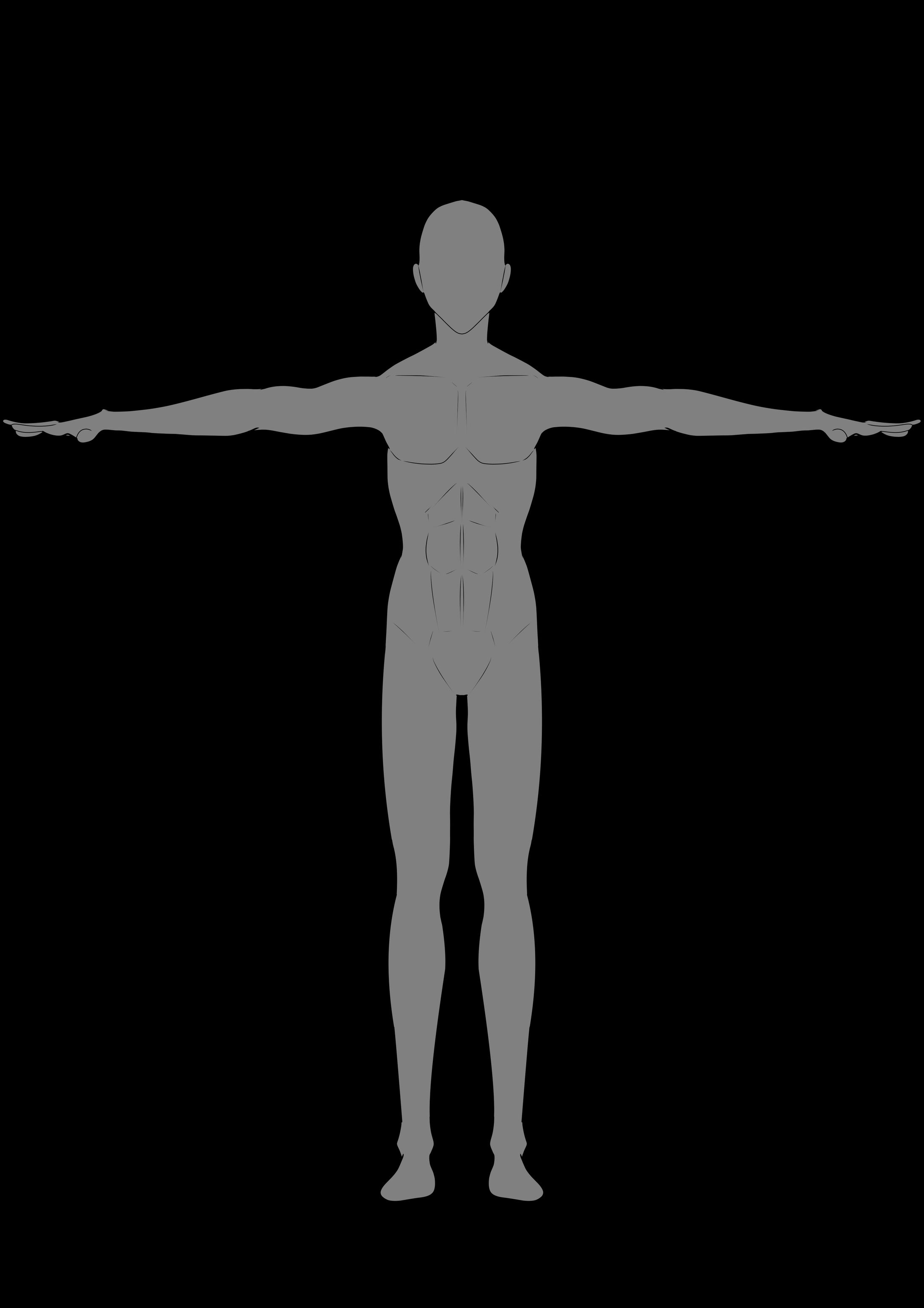 体形　男性 キャラクターデザインシート　2D-1