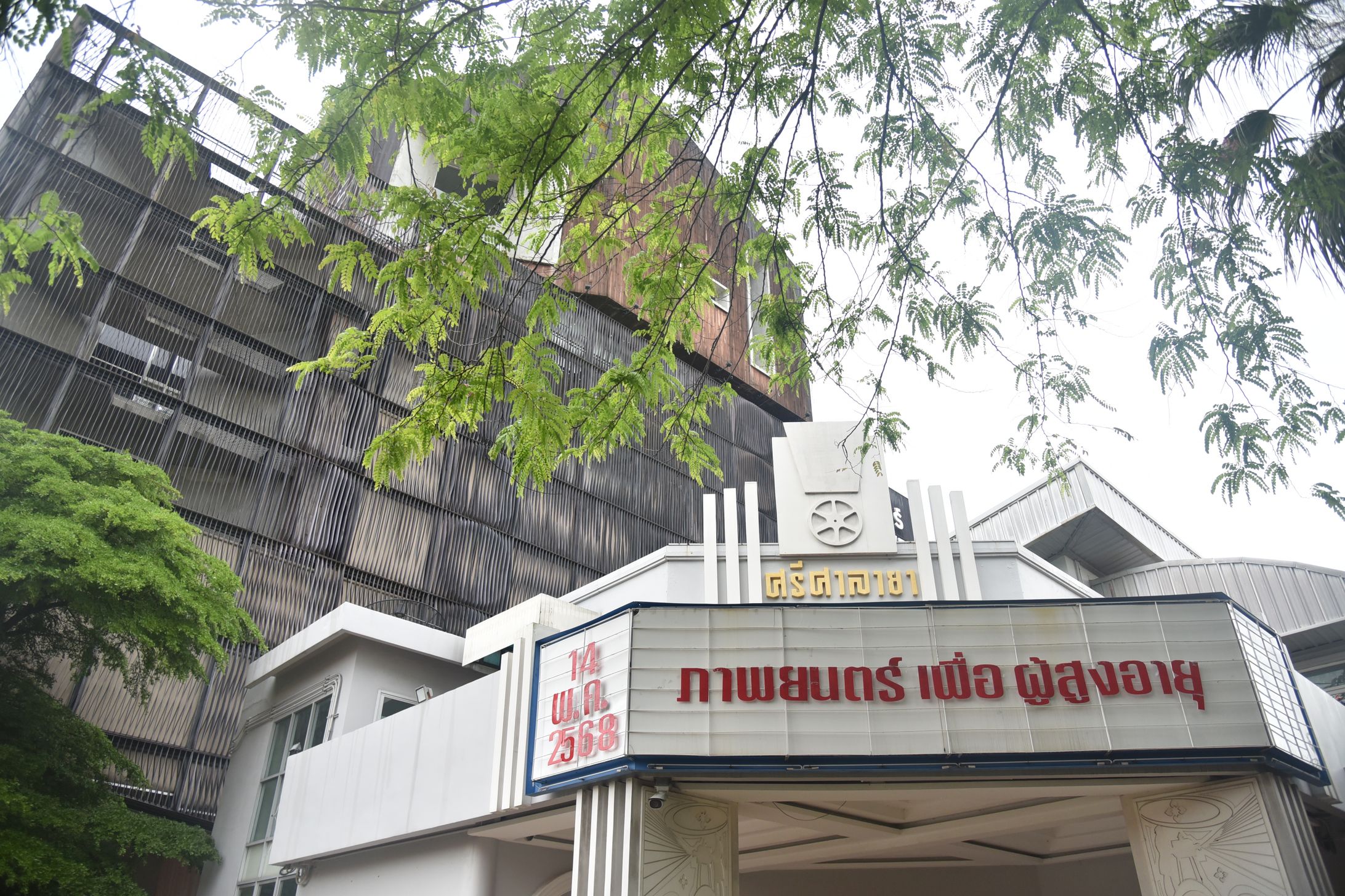 กิจกรรมภาพยนตร์เพื่อผู้สูงอายุ - Parasite-1