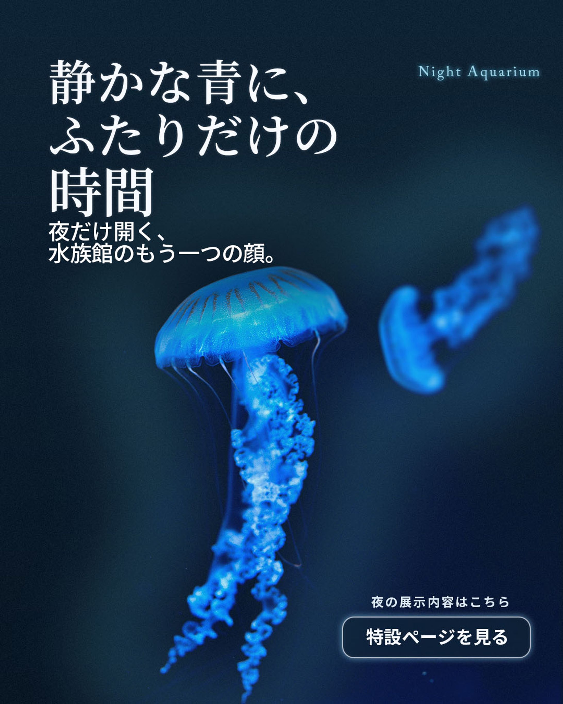 水族館バナー-1