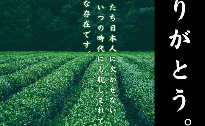 バナー　お茶