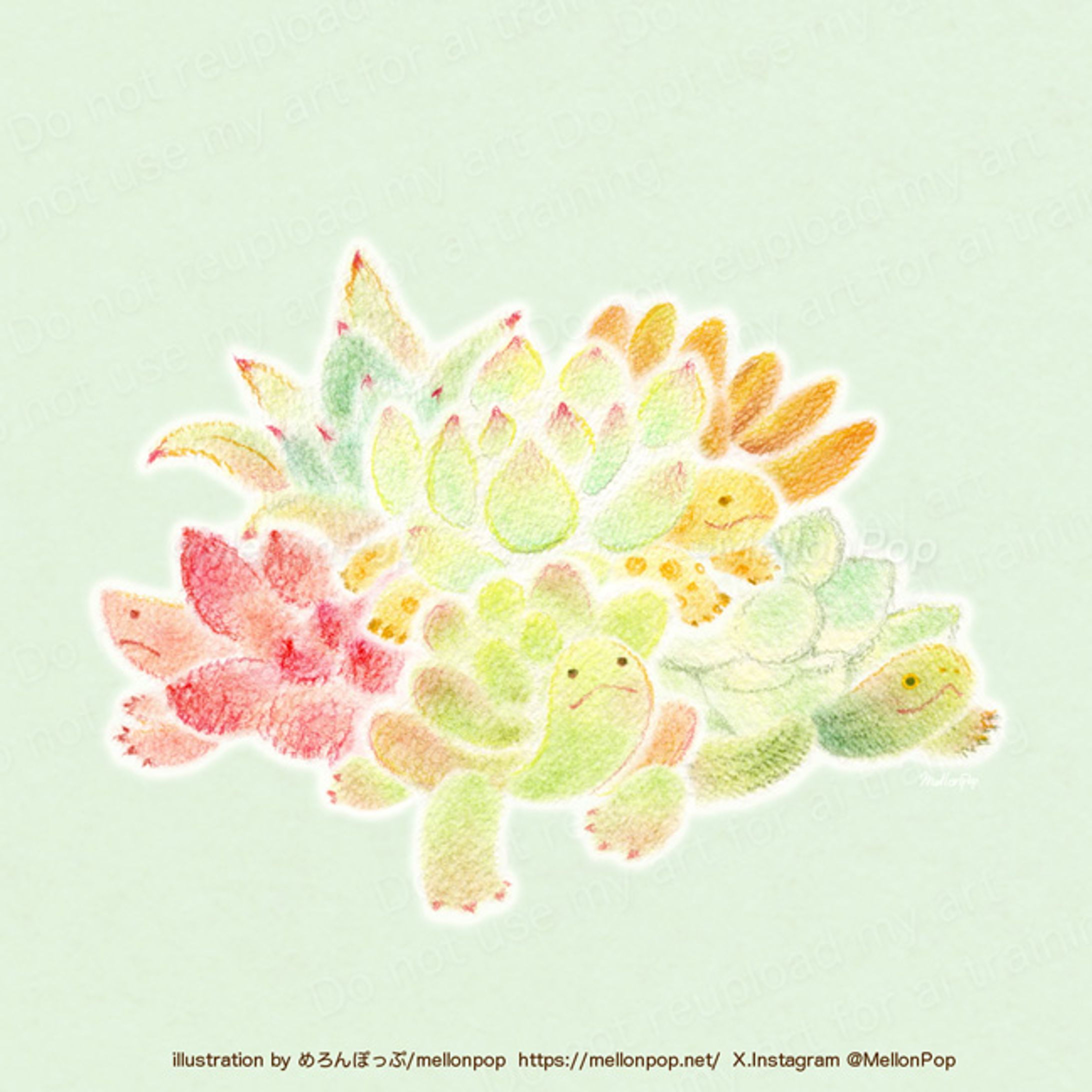 多肉植物×カメ-1