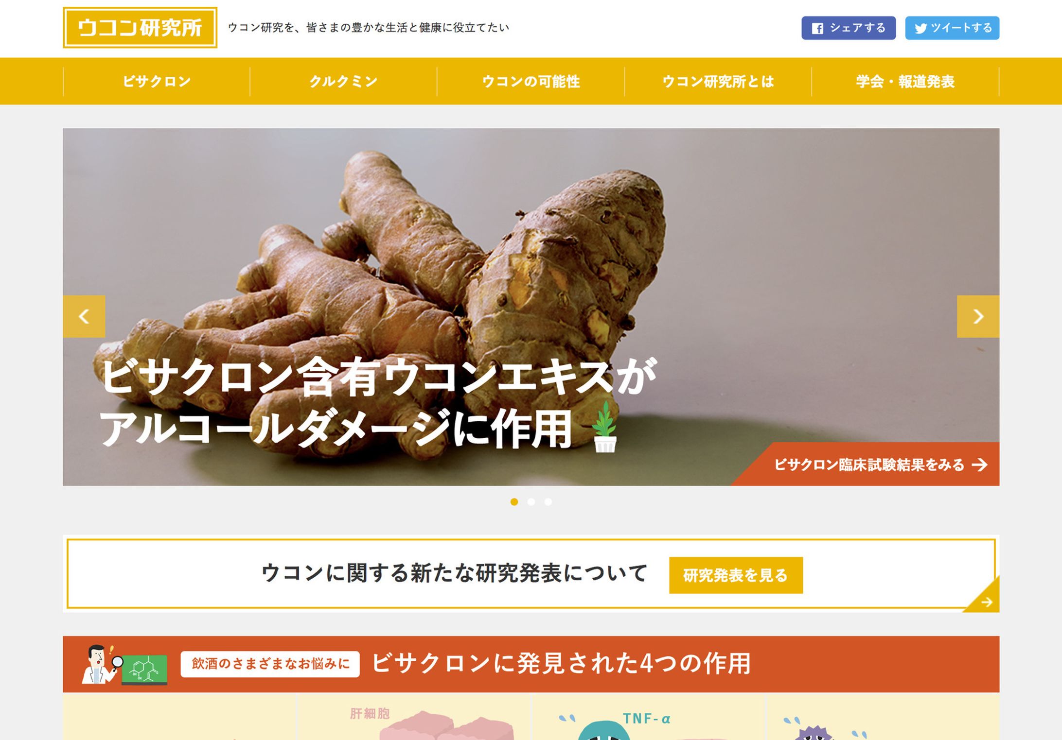  ハウス「ウコン研究所」 -1