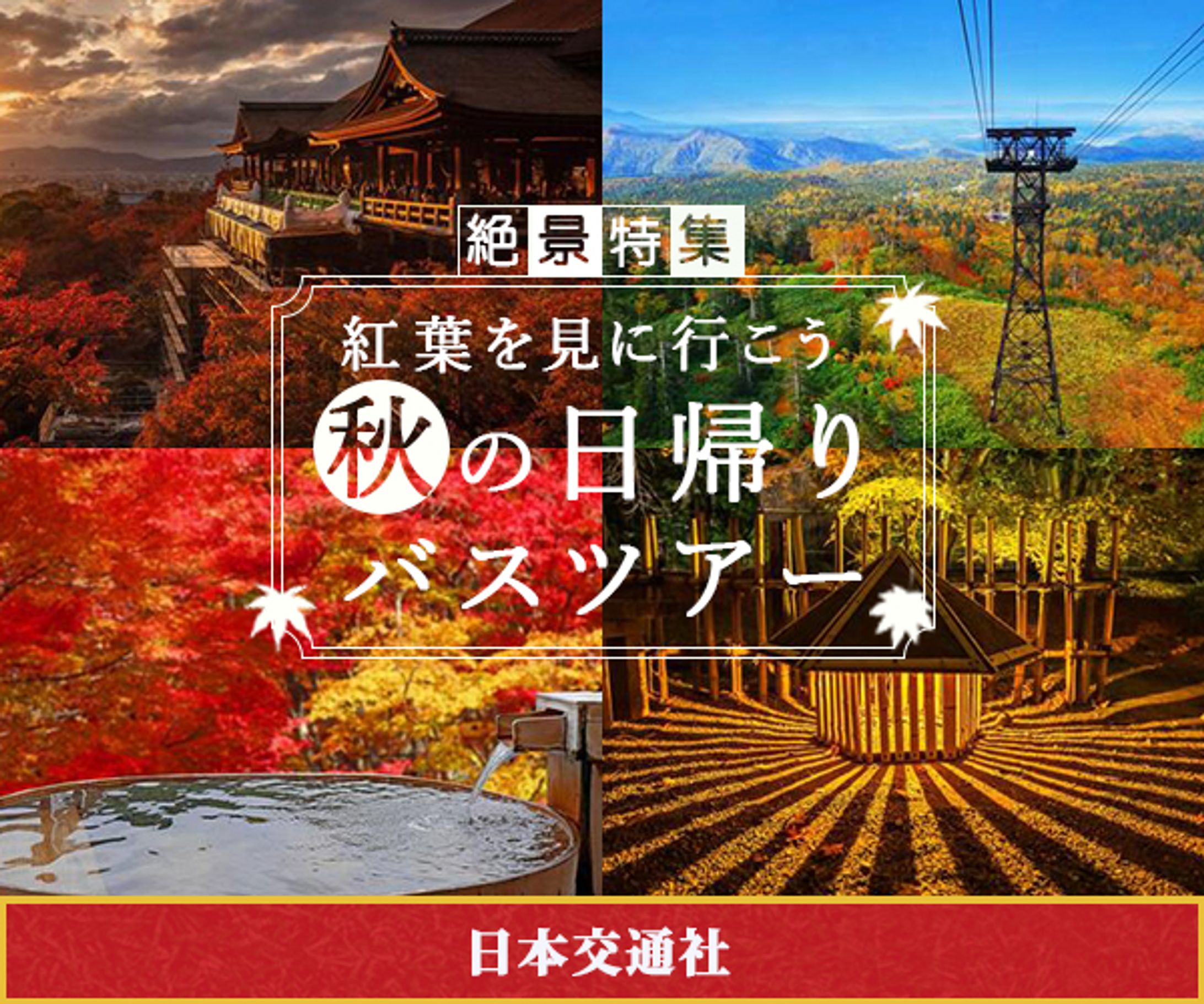 バナー：紅葉狩りツアー-1