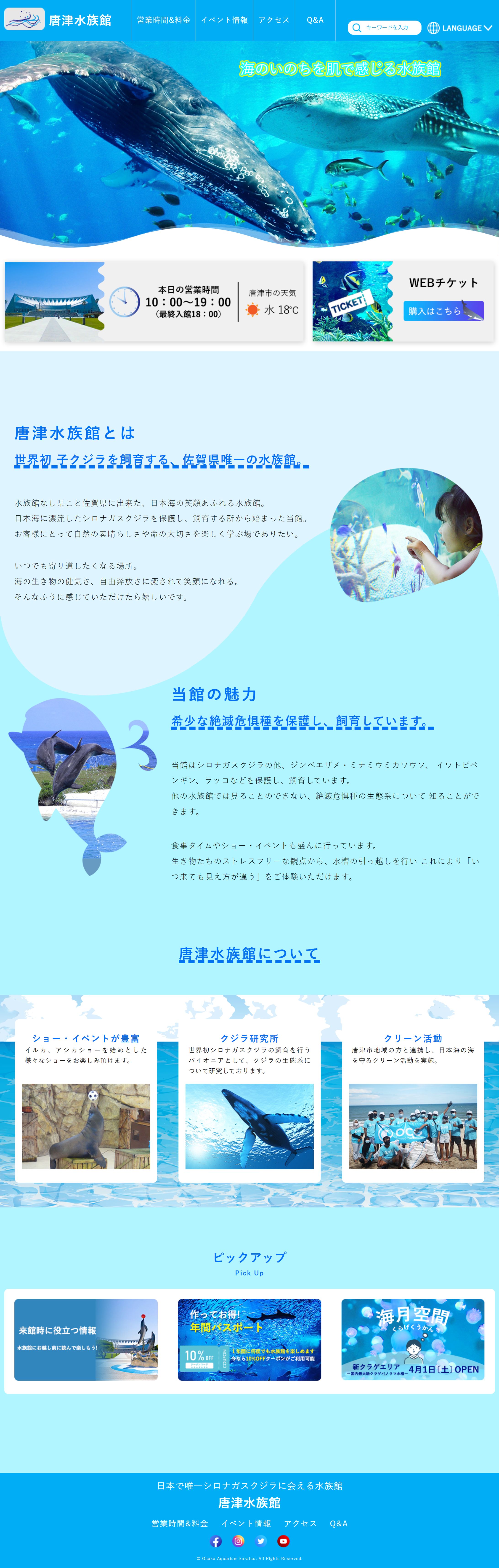 唐津水族館カンプ・コーディング-1