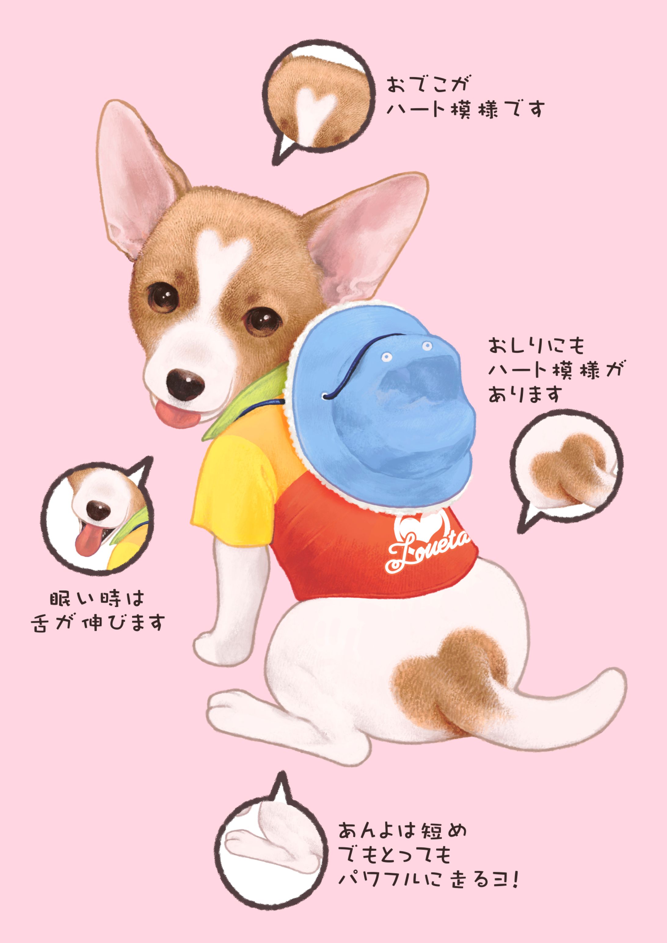 ペットをモデルにした似顔絵 -1