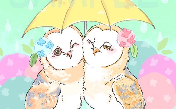 フクロウ×梅雨