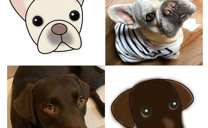 名刺、たびこふれ