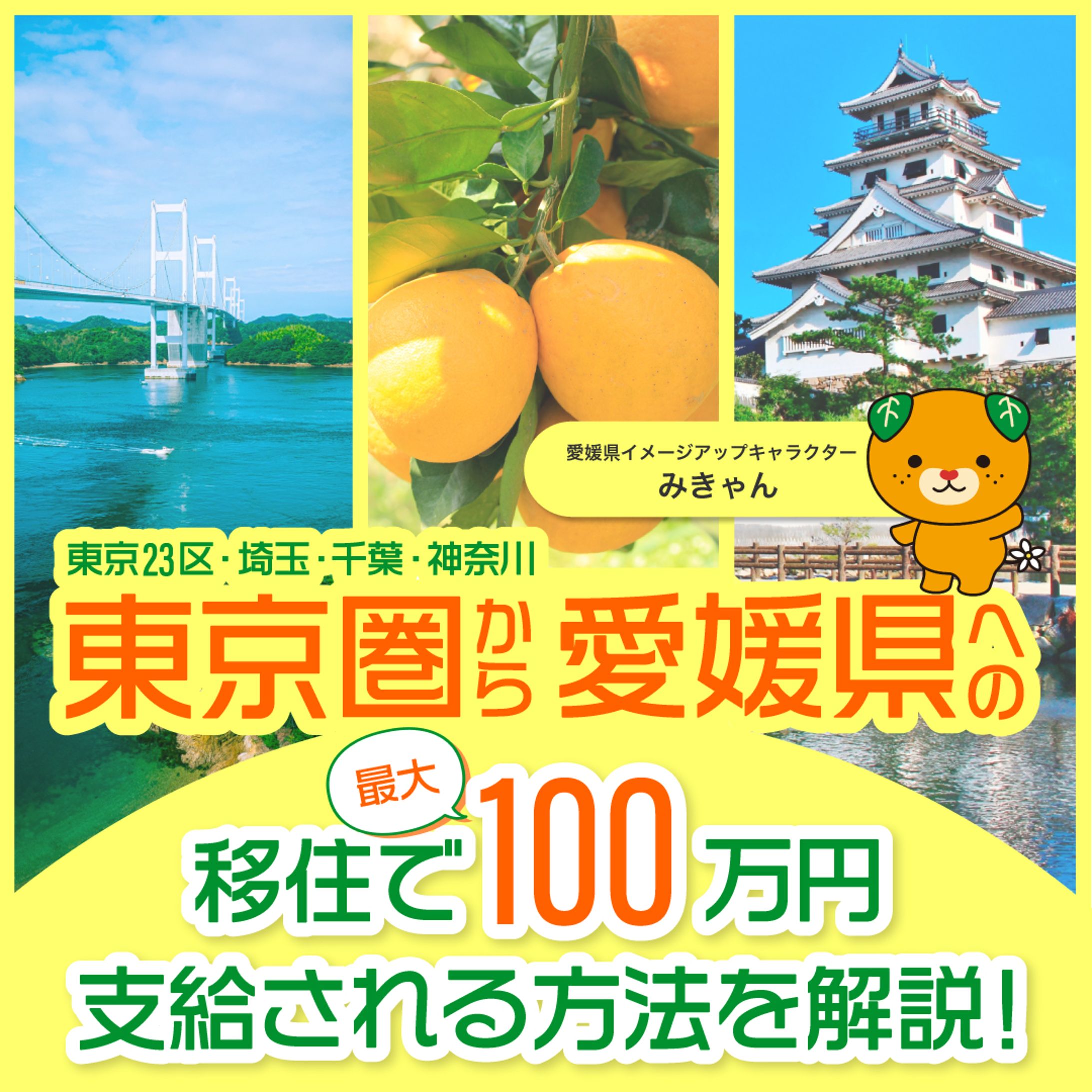 愛媛県移住支援金広告-1