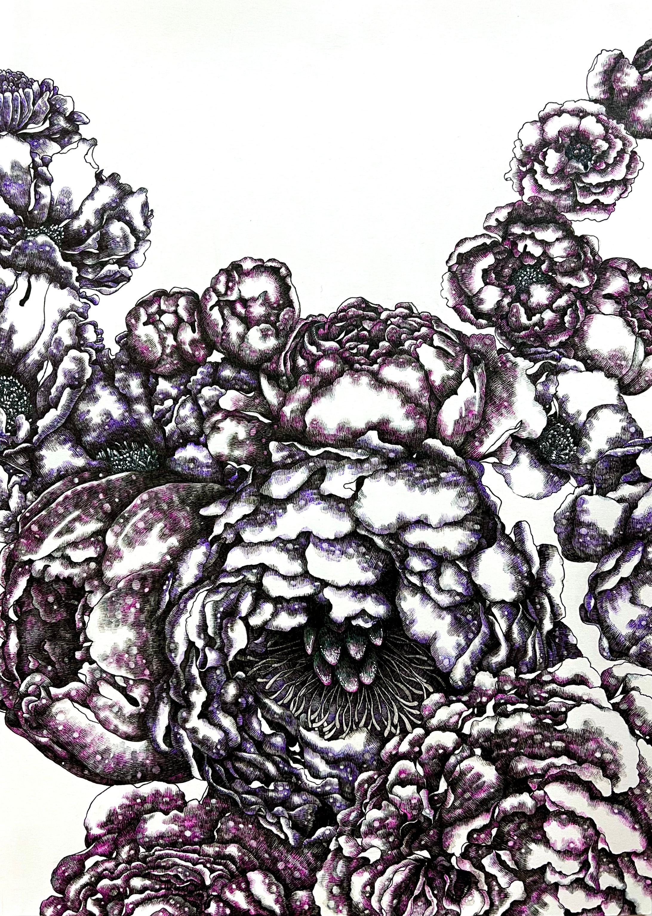 芍薬と牡丹 peony and peony-1