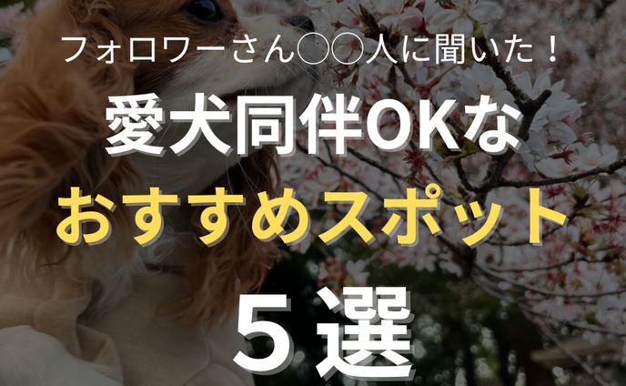 【Instagram】おすすめスポット５選