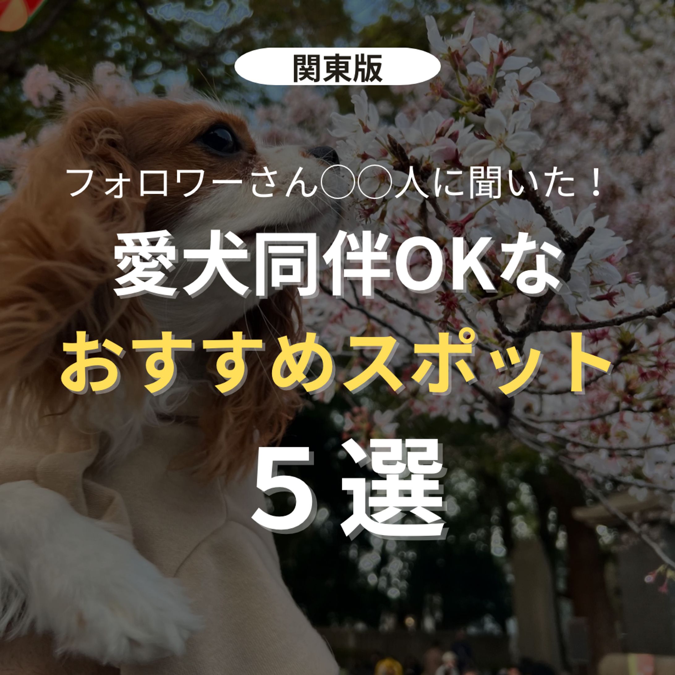 【Instagram】おすすめスポット５選-1