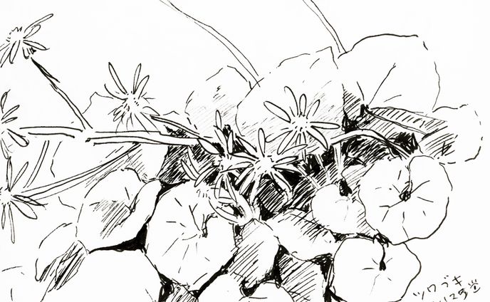 風景スケッチ