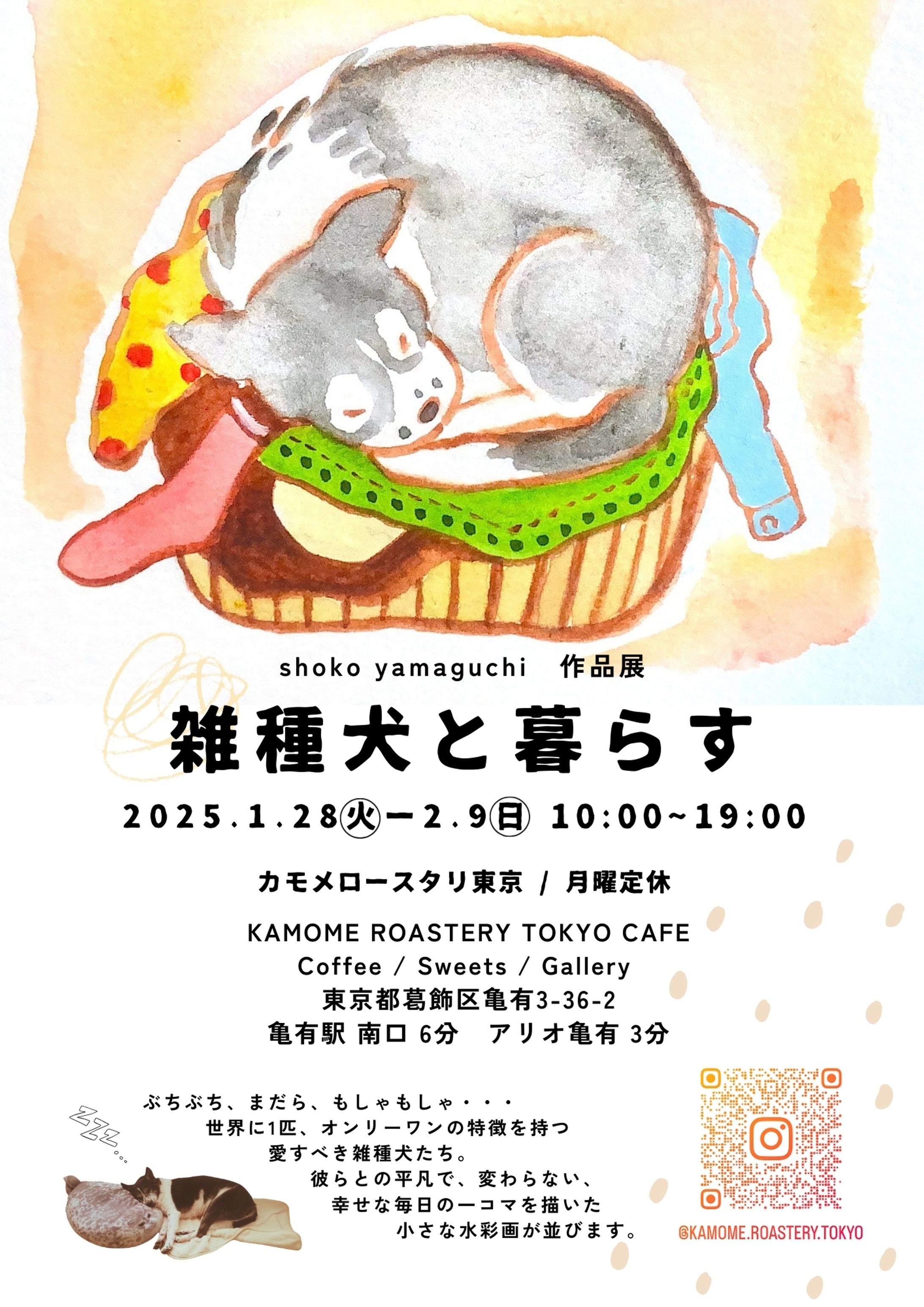 個展 2025【雑種犬と暮らす】-1