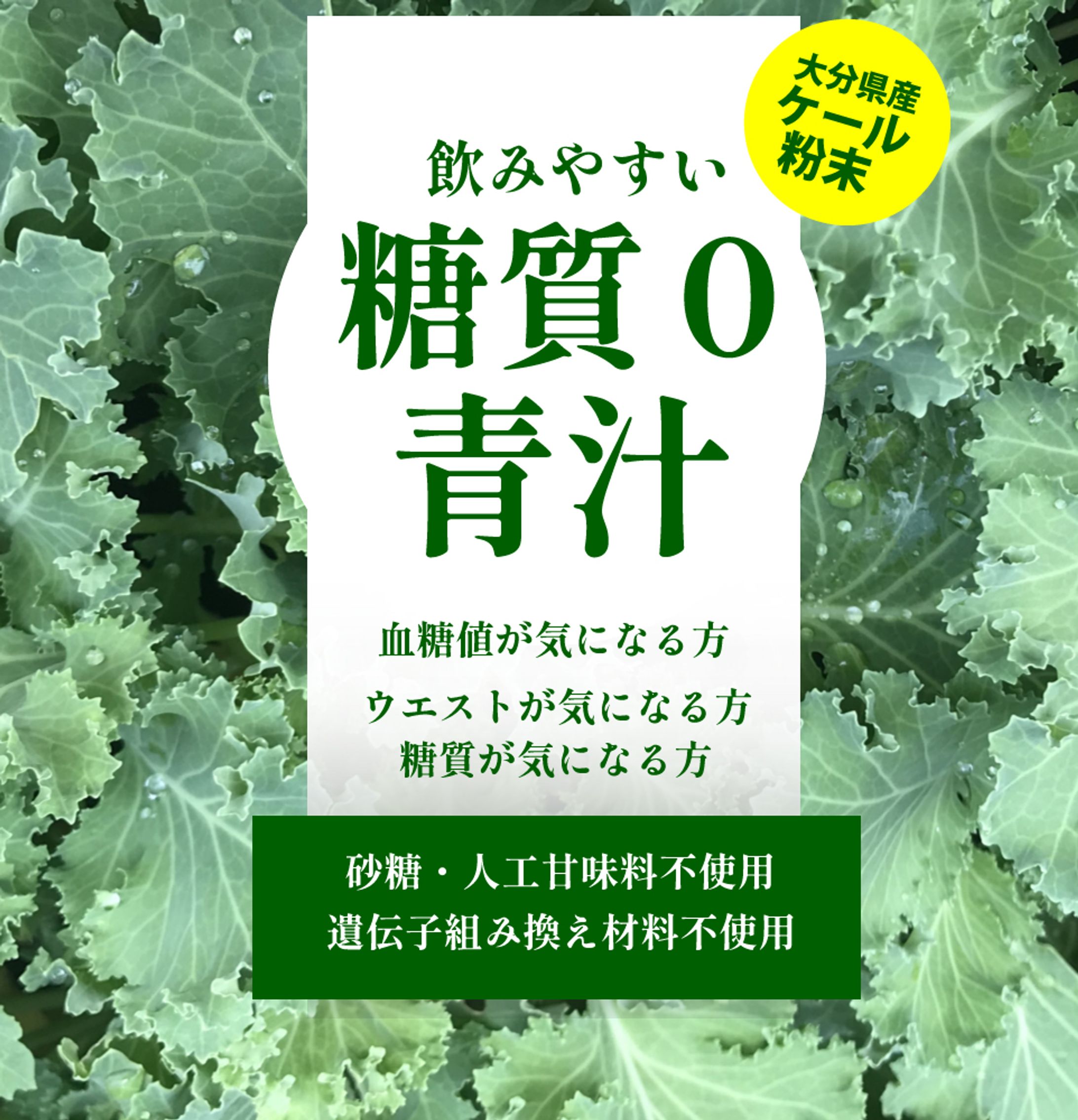 【商品パッケージ】青汁-1