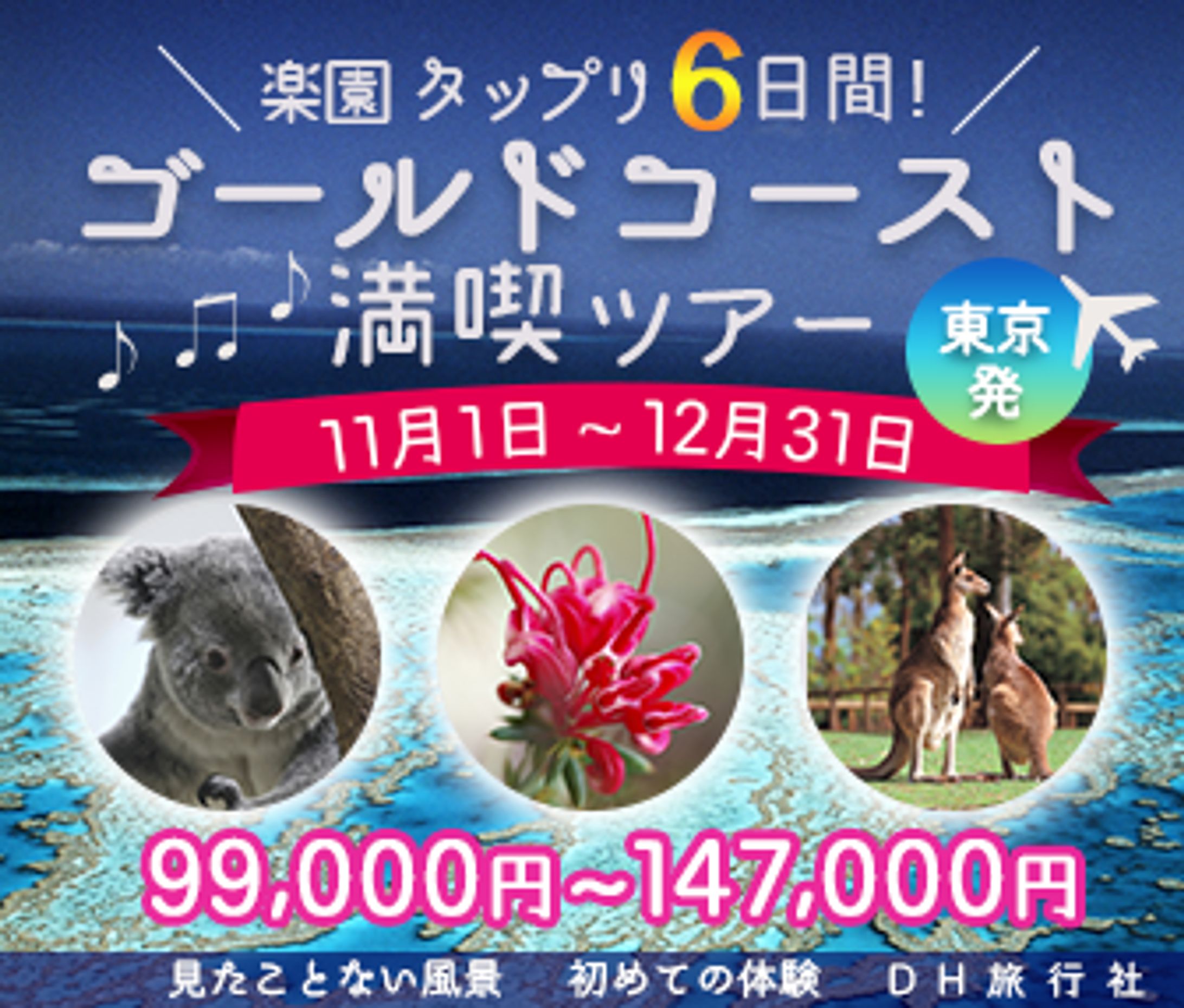 ゴールドコーストツアーWebバナー-1