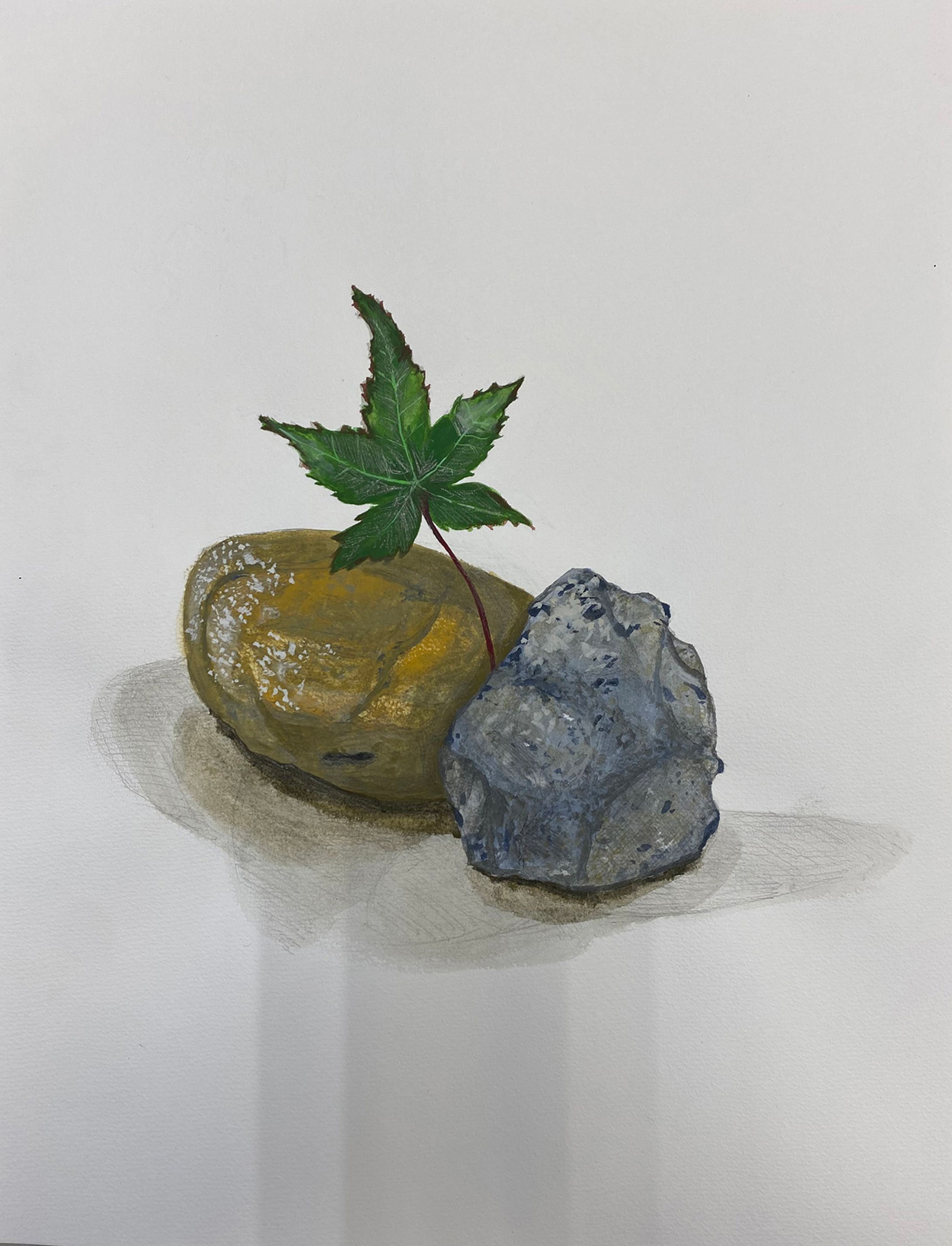 着彩デッサン(アクリル絵の具)-1