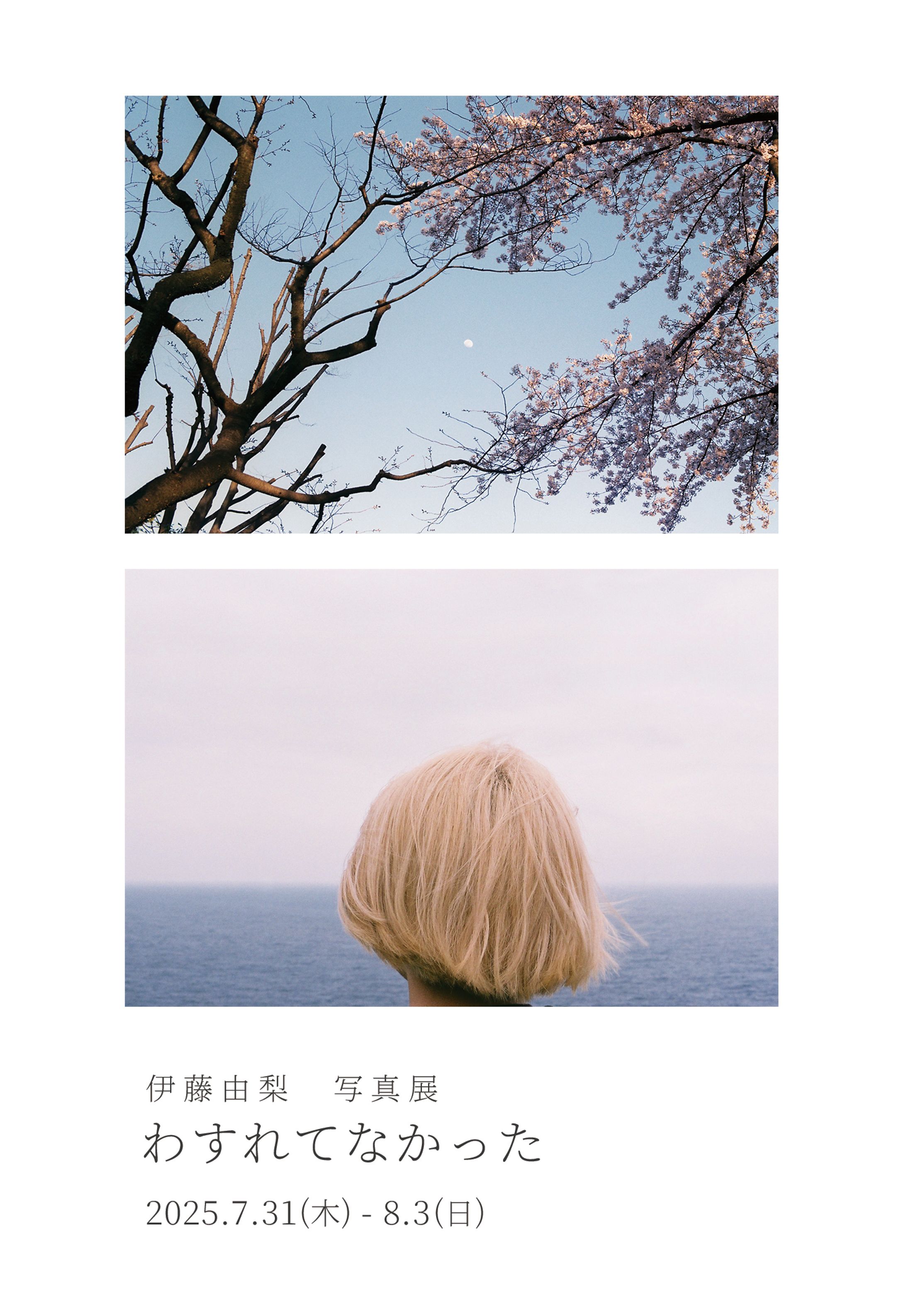 写真展（趣味）-1