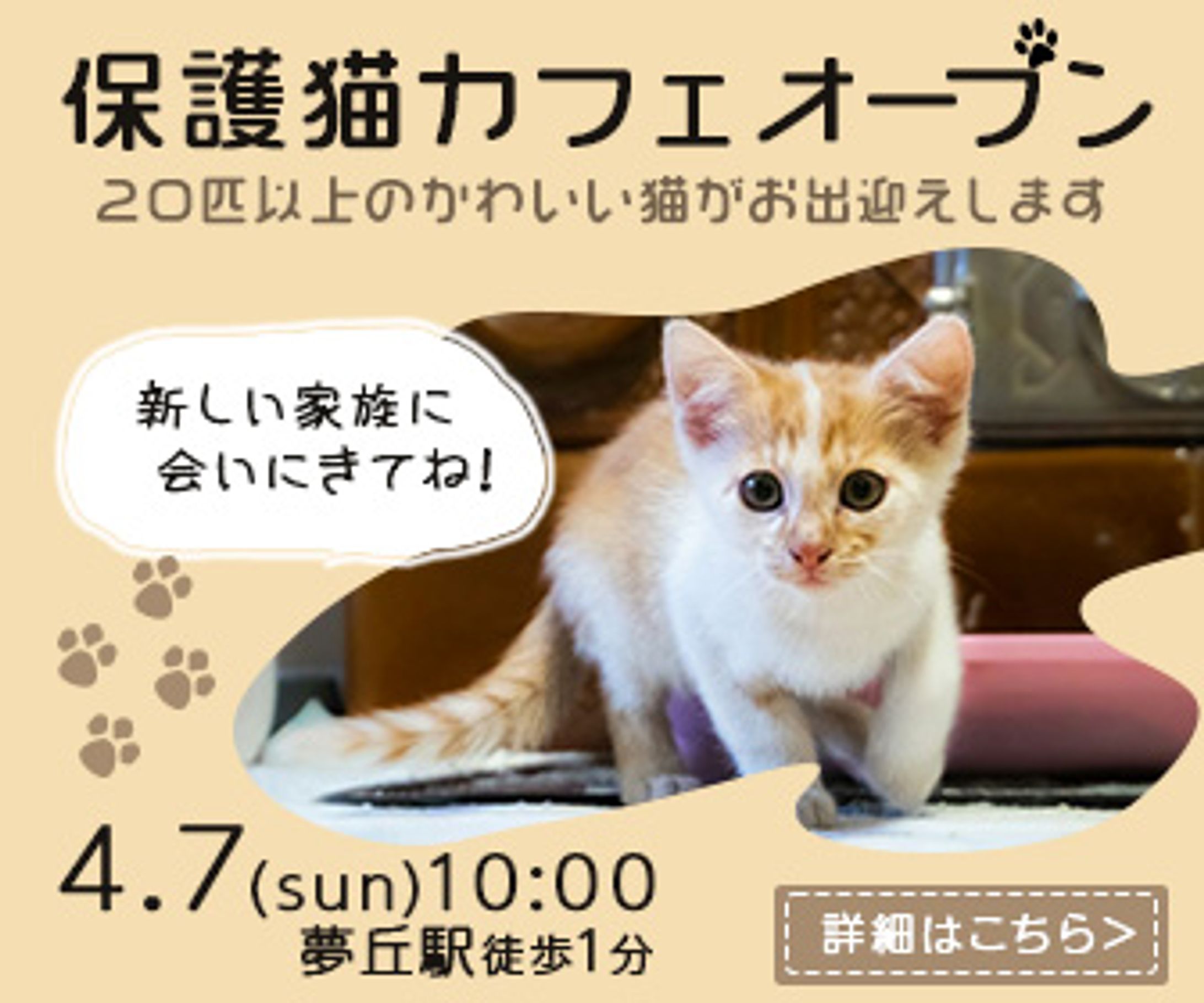 保護猫カフェオープン（架空）-1