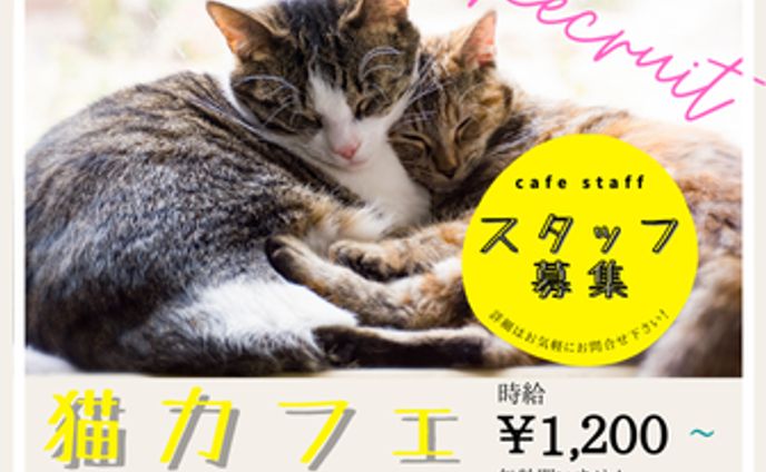 （サンプル）インスタグラム投稿画像