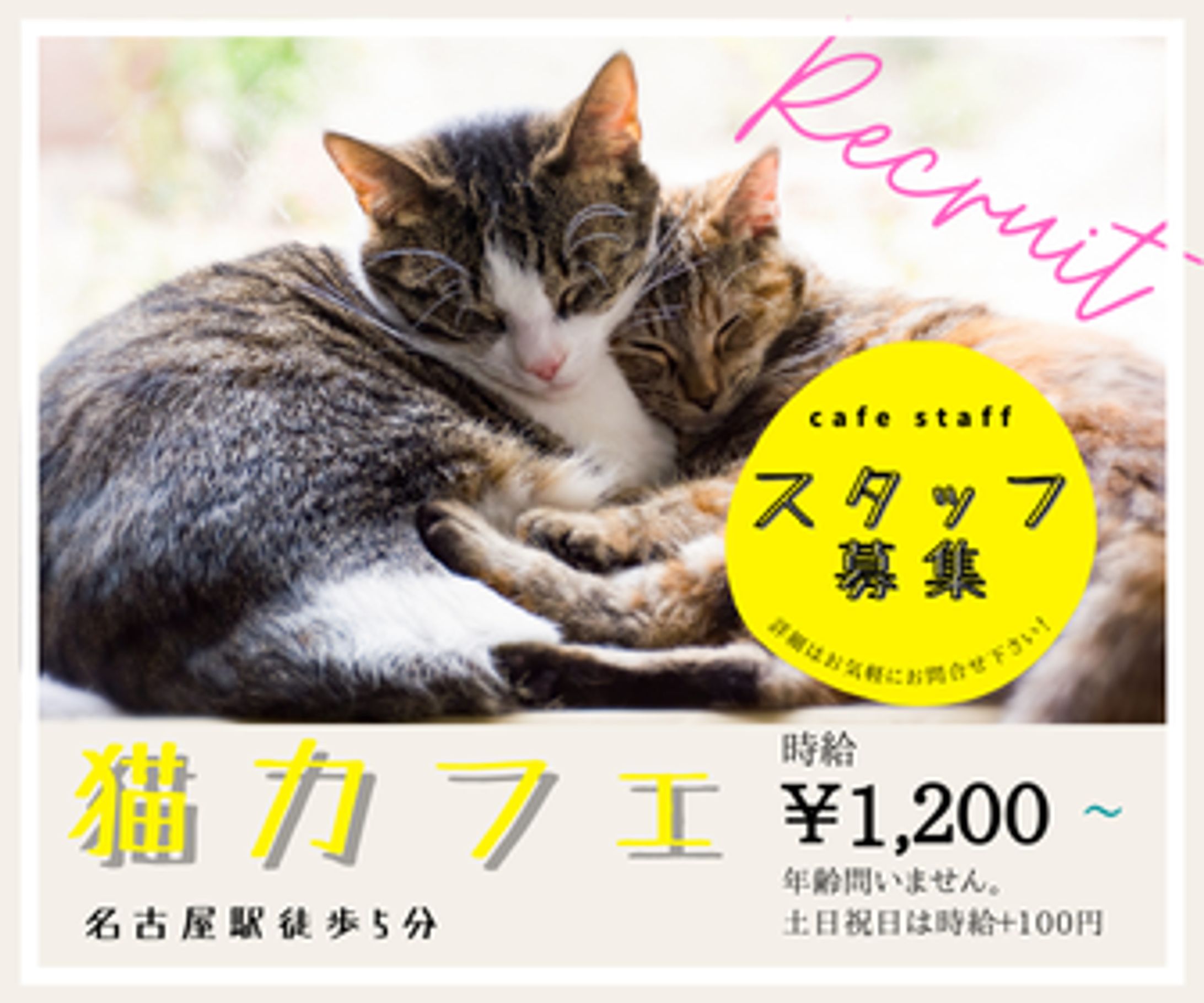 （サンプル）インスタグラム投稿画像-1
