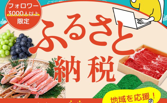 ふるさと納税