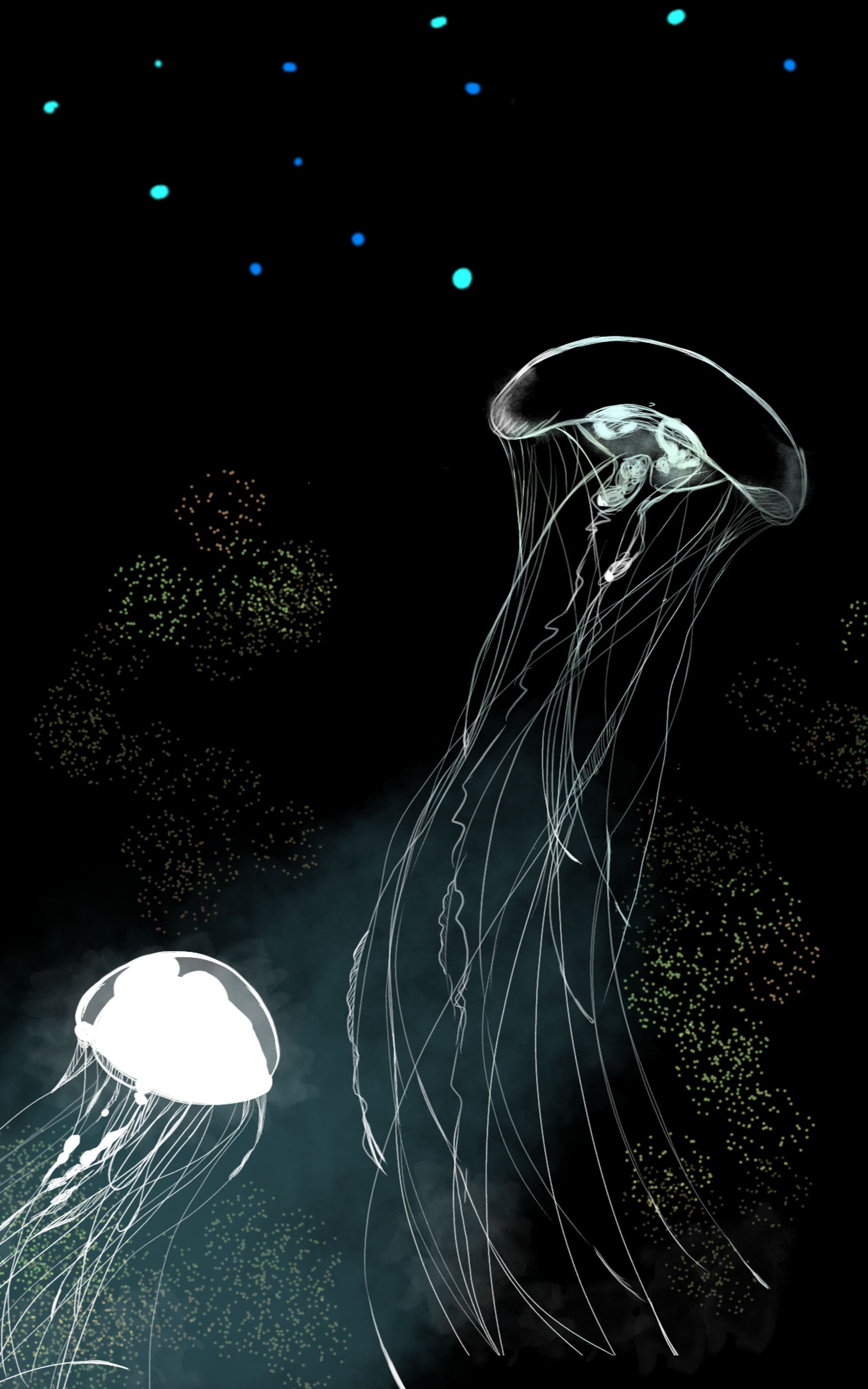 クラゲ-1