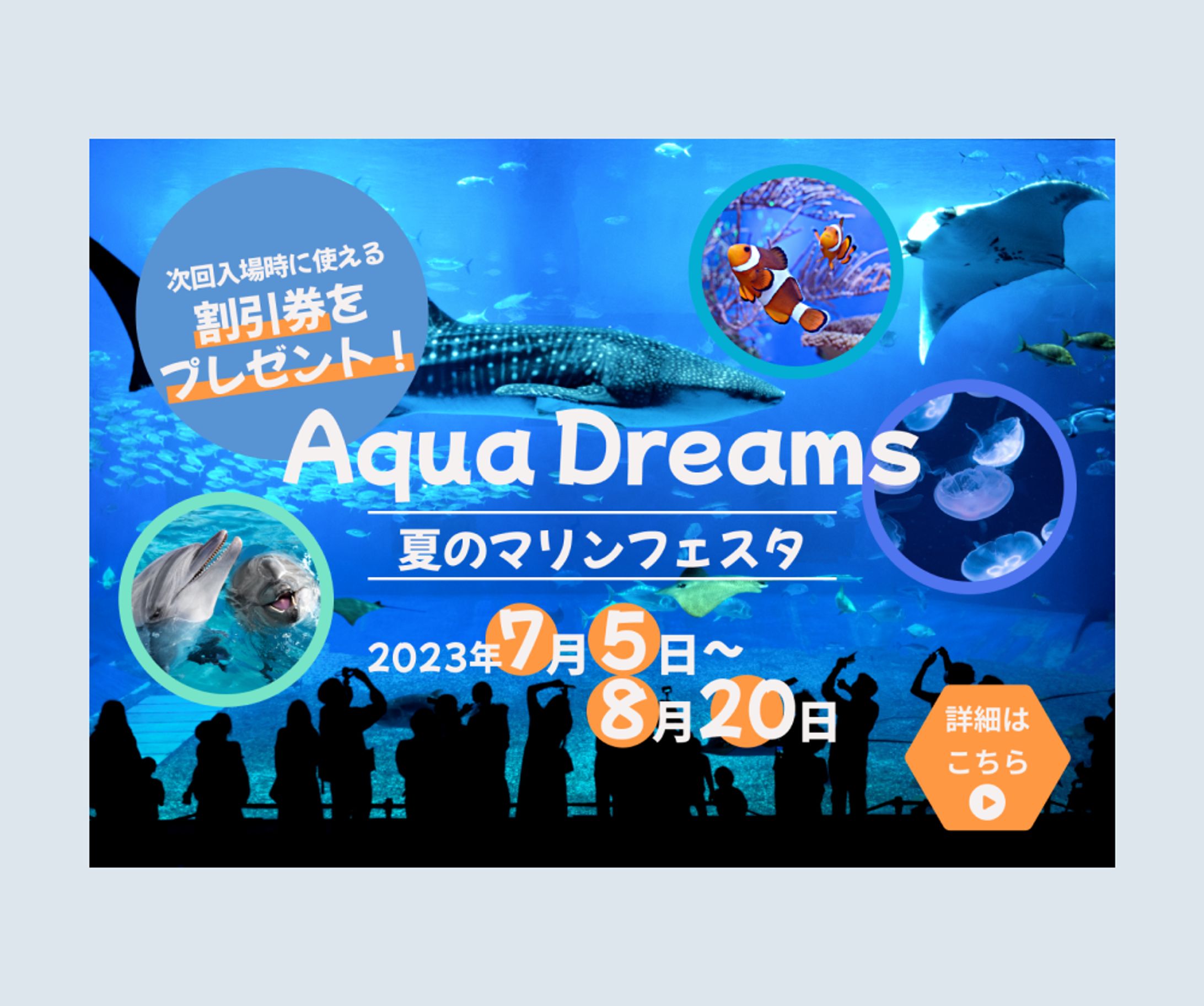 水族館イベントのバナー-1