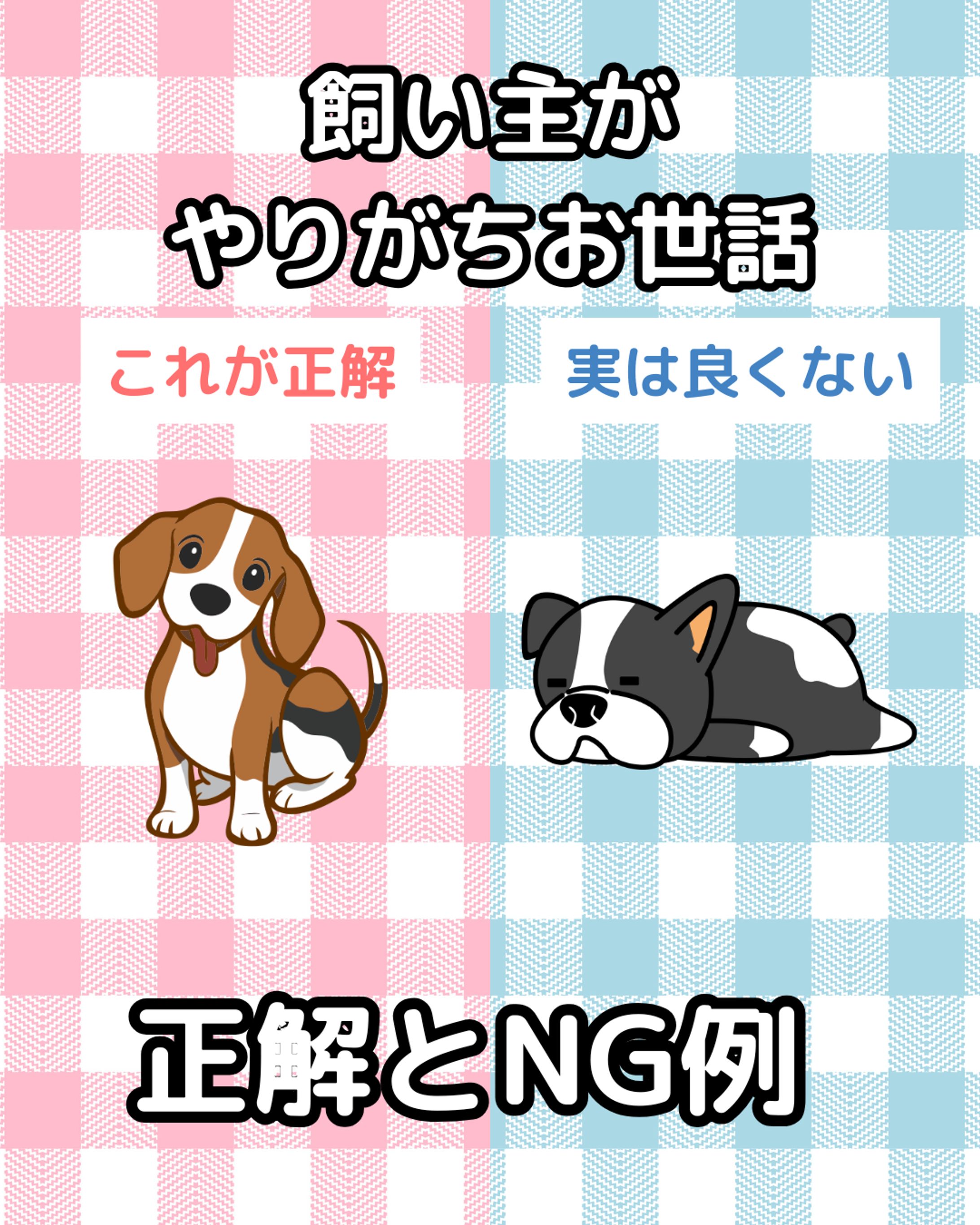 飼い主がやりがちなお世話（TikTok）-1