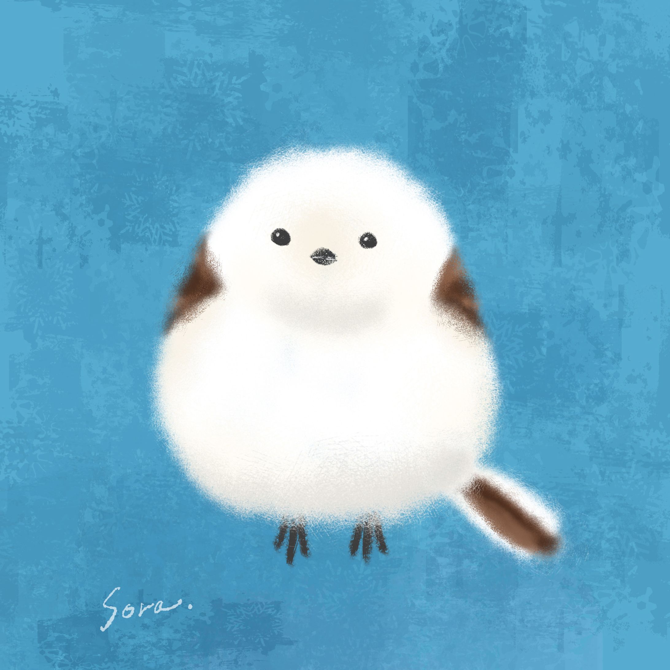 シマエナガ-1