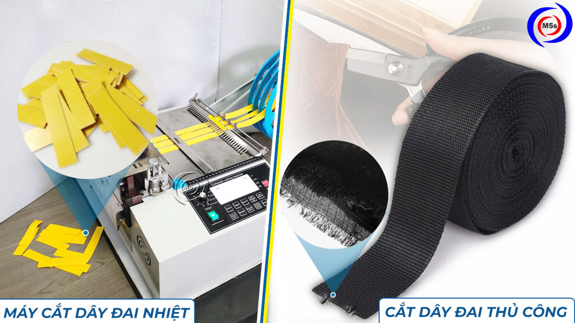 may cat day dai-1