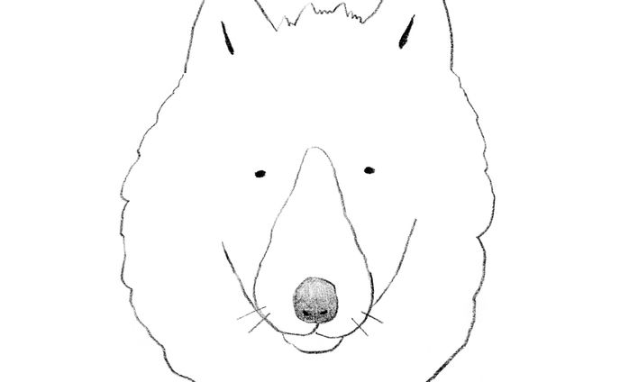 ホッキョクオオカミ