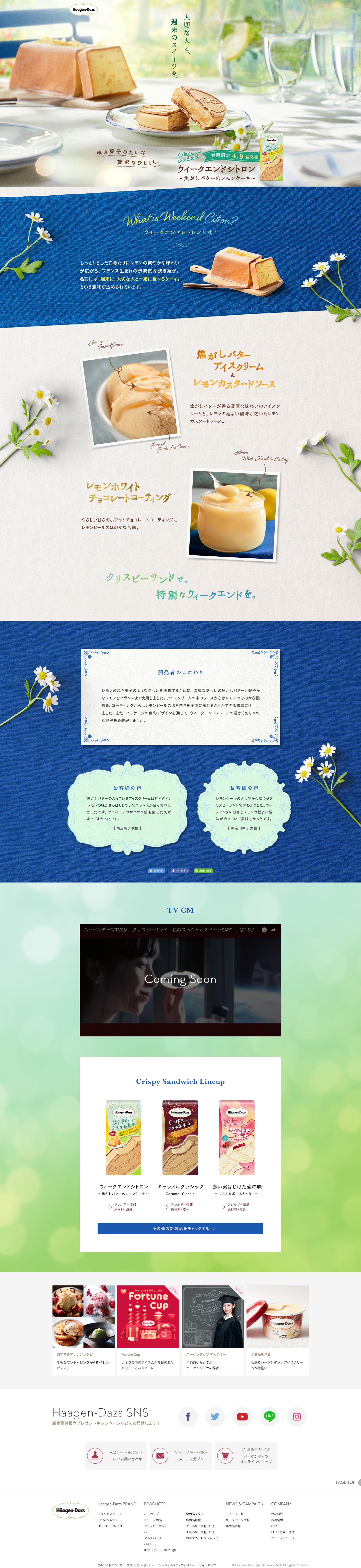 Häagen Dazs ウィークエンドシトロン-1