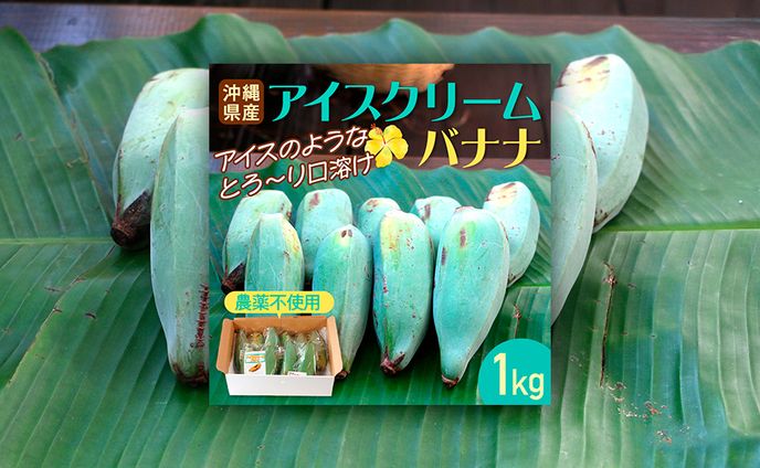 【EC商品バナー】アイスクリームバナナ