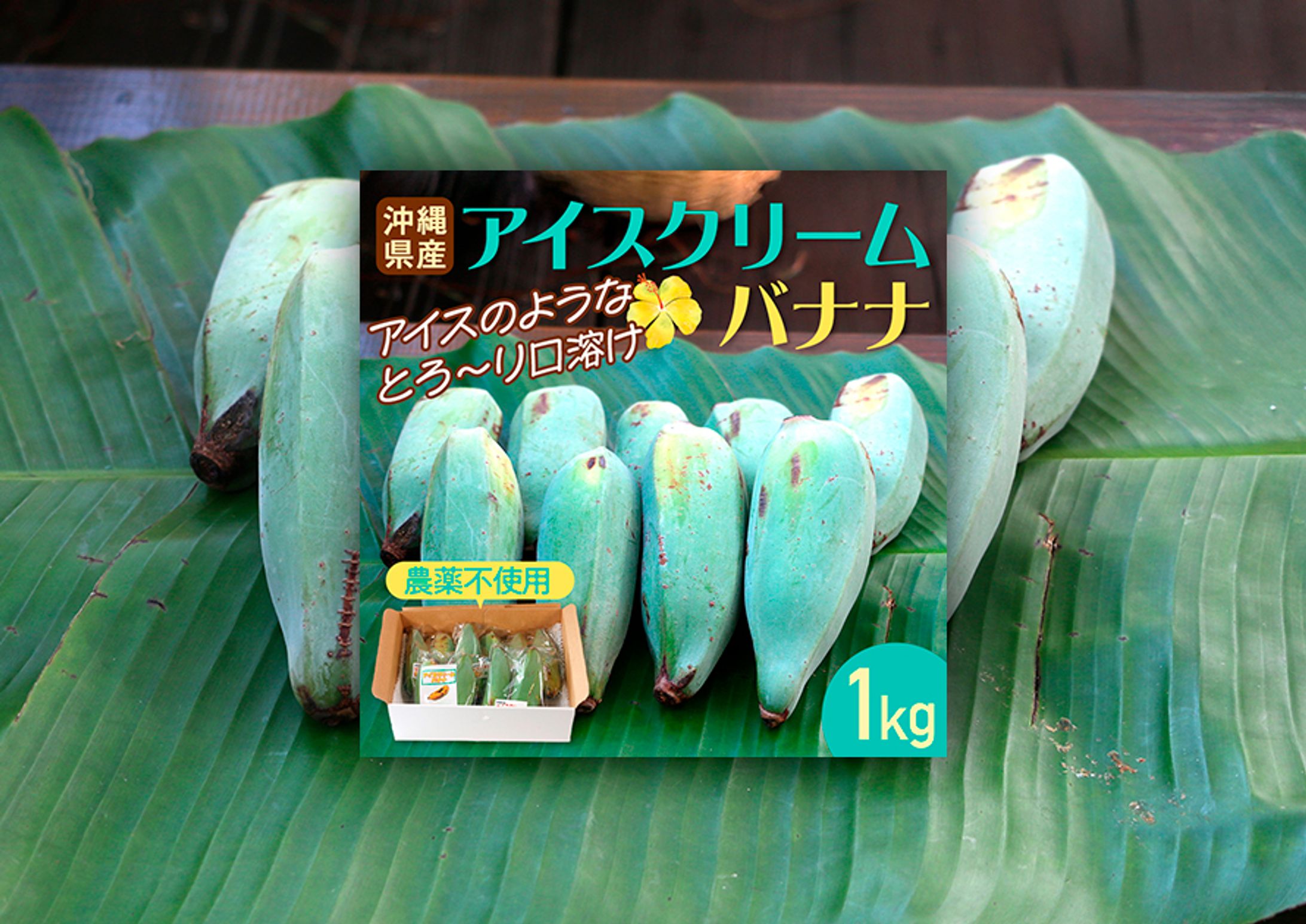【EC商品バナー】アイスクリームバナナ-1