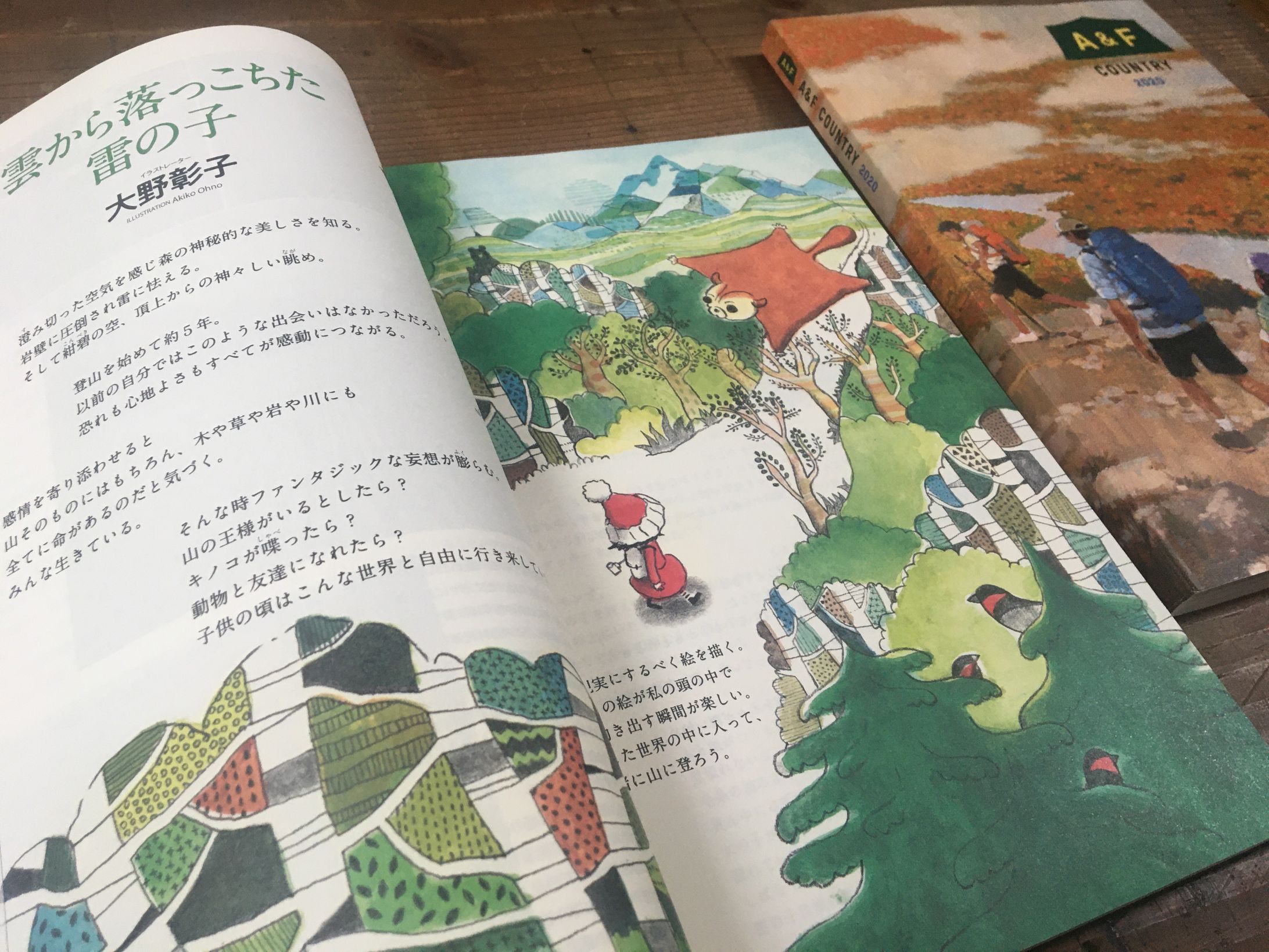 A&Fカントリー カタログ巻頭編集ページ-1