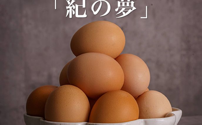 ブランド卵「紀の夢」クラウドファンディング用Web広告