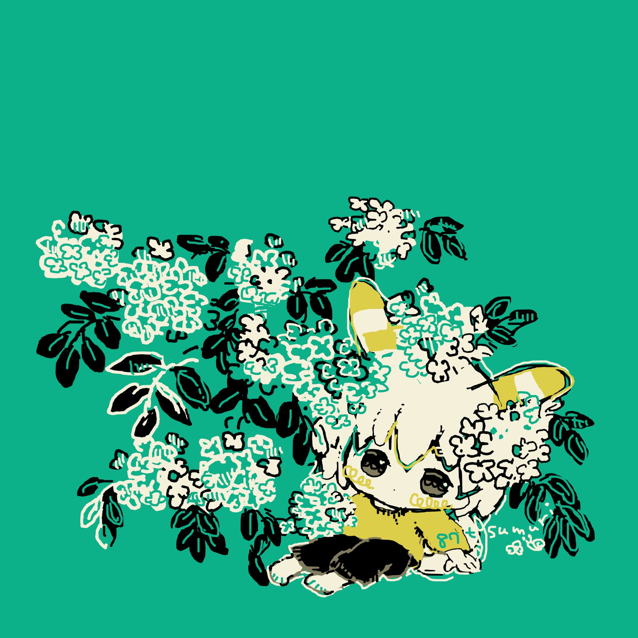 白い花-1