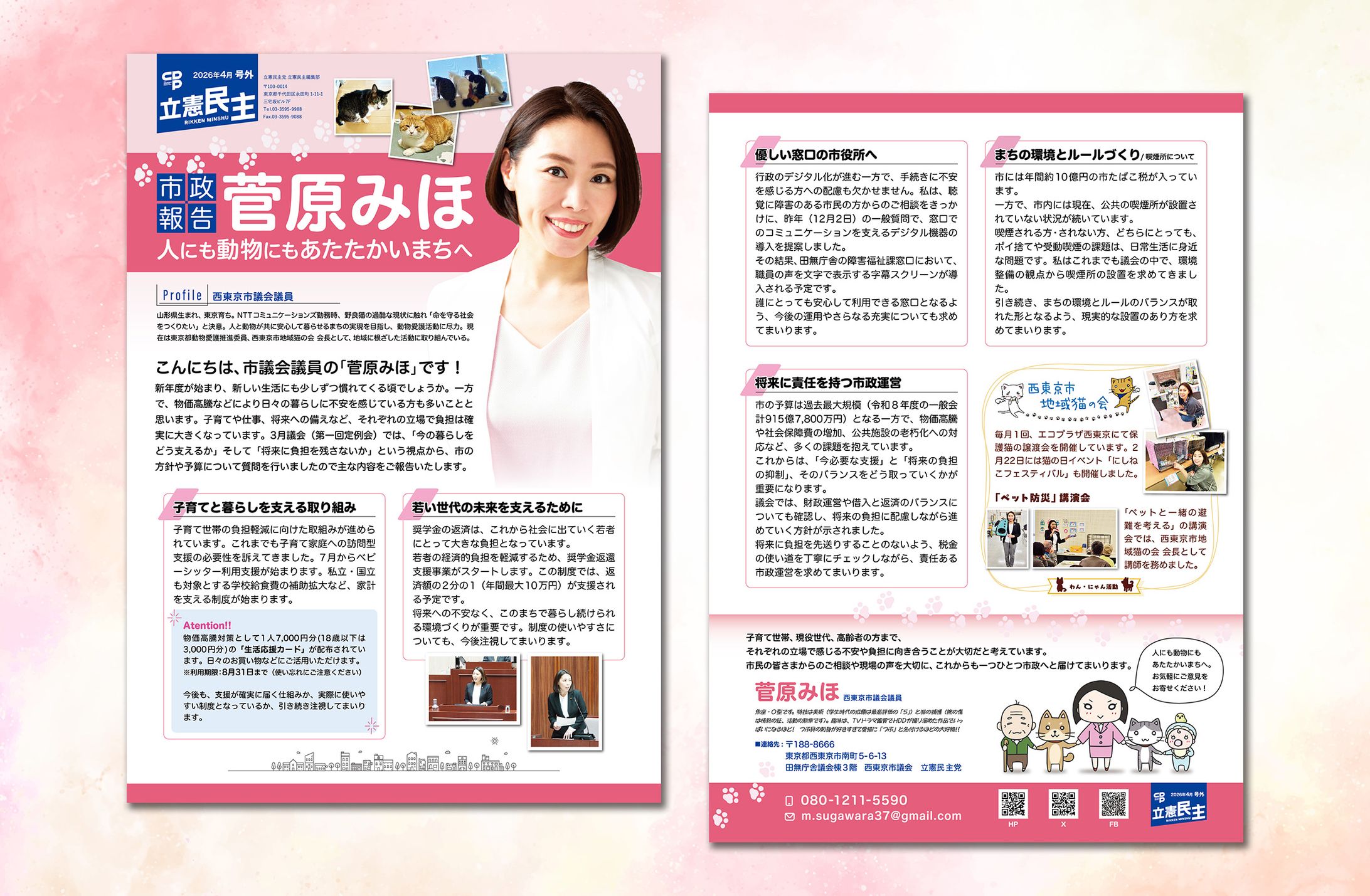 チラシ：市議会議員の市政報告-1