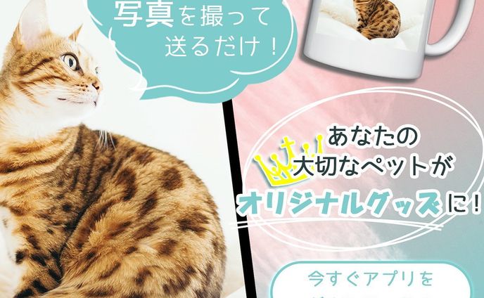 【自主制作】デザインドリル⑤アプリのサービス訴求