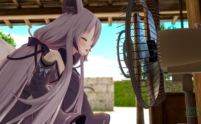 写真提供　コトブキヤ様