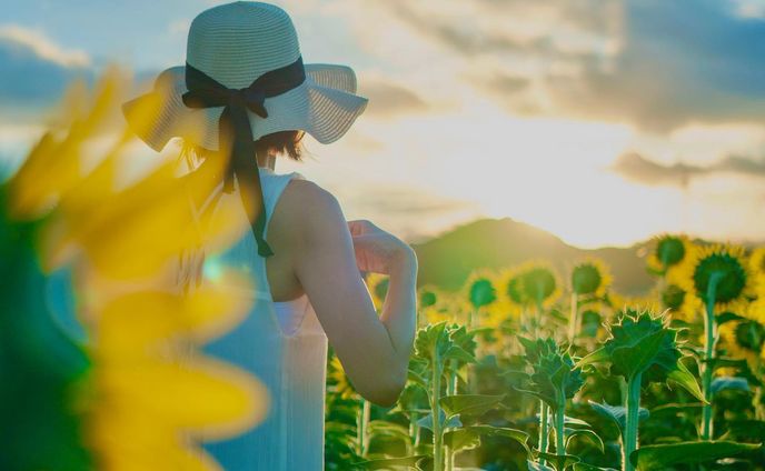ひまわり🌻
location:笠岡
Camera:Sony a7 IV
Lens: Batis 40mm F2
edit:Adobe Lightroom
#笠岡ベイファーム 
#Adobe
#rightroom
