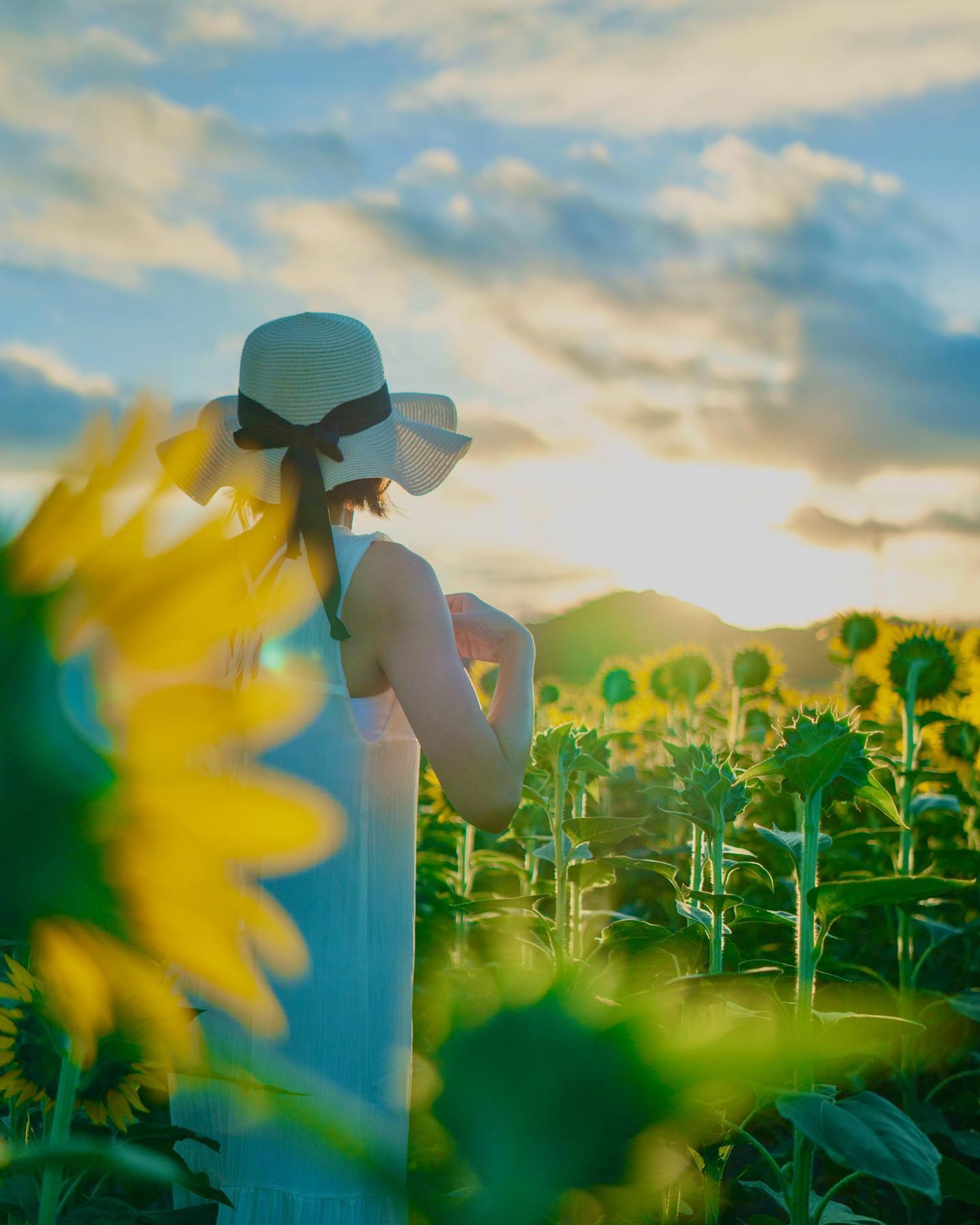 ひまわり🌻
location:笠岡
Camera:Sony a7 IV
Lens: Batis 40mm F2
edit:Adobe Lightroom
#笠岡ベイファーム 
#Adobe
#rightroom-1