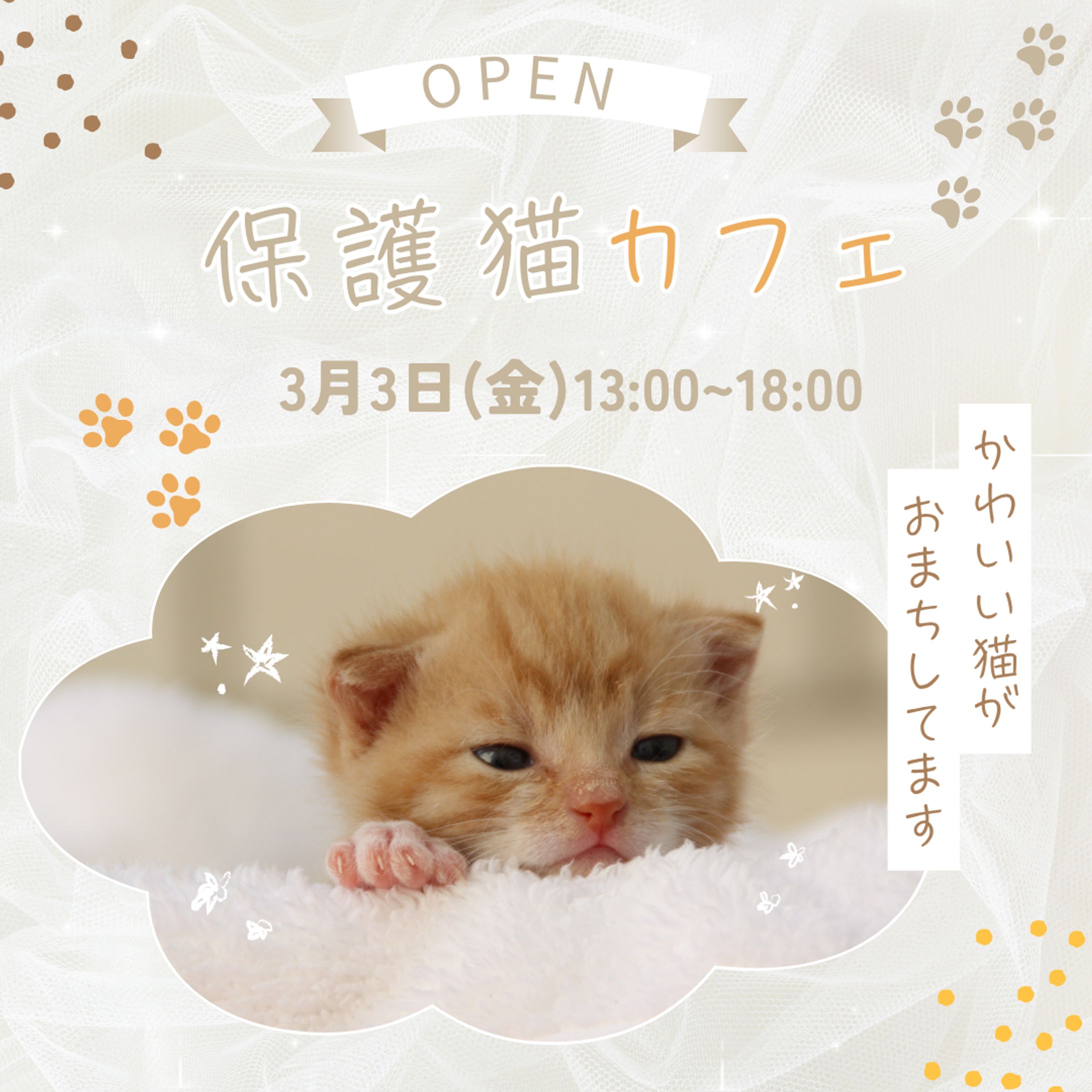 猫カフェバナー画像-1