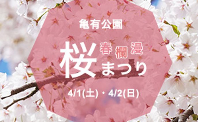 桜まつり_バナー