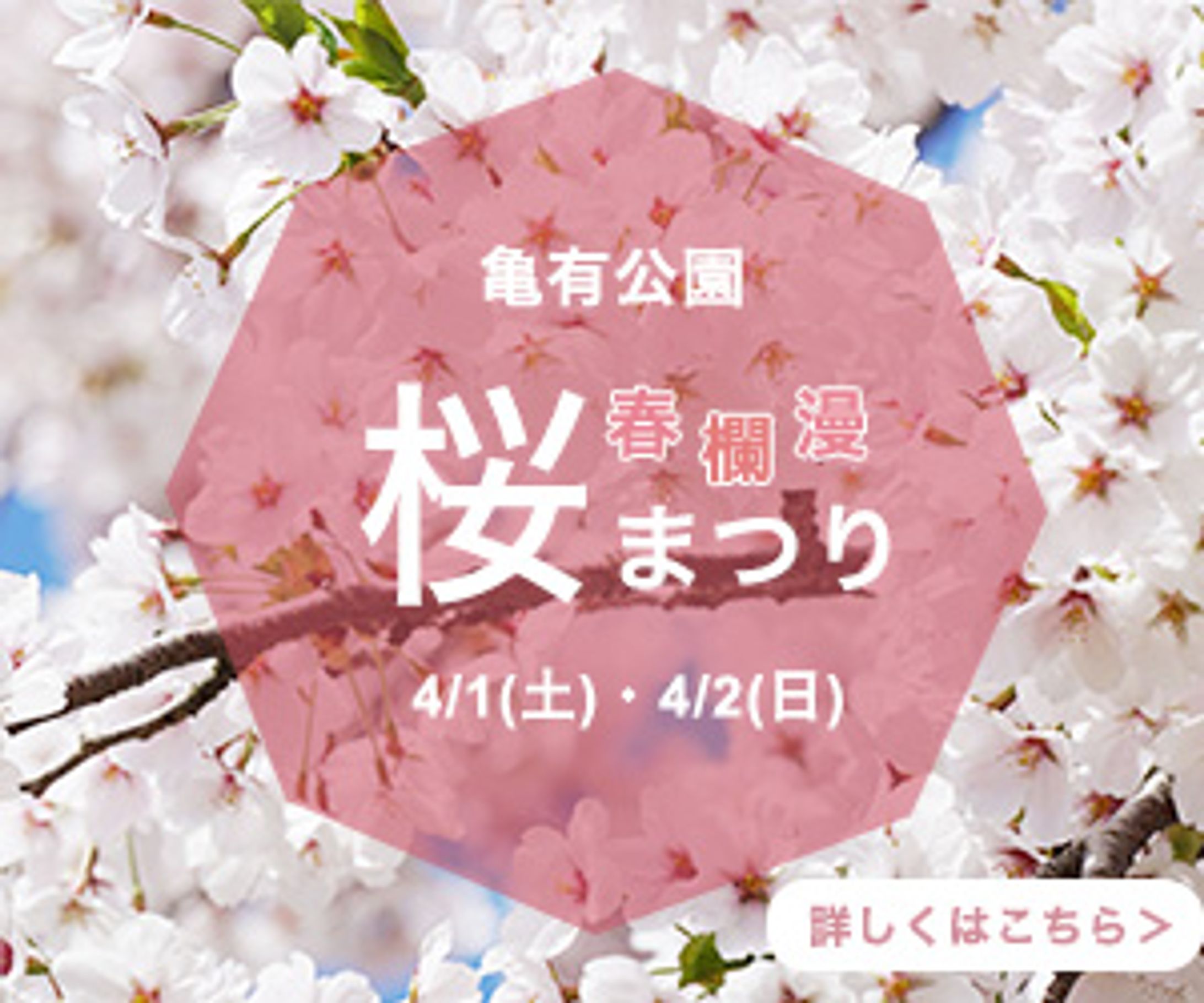 桜まつり_バナー-1