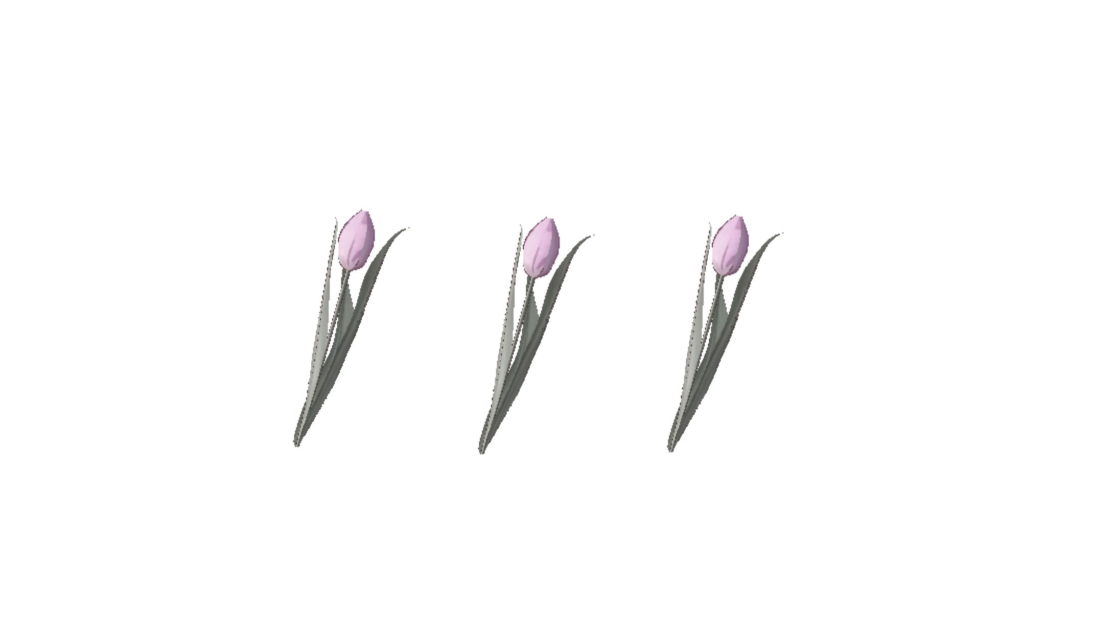 コラージュ-1