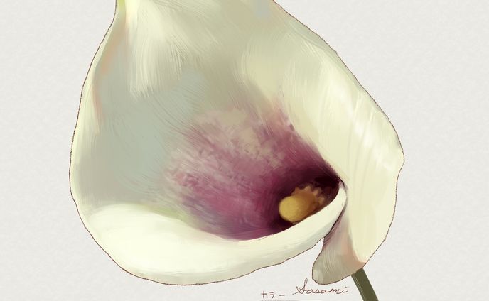 カラー_2022 03 28
