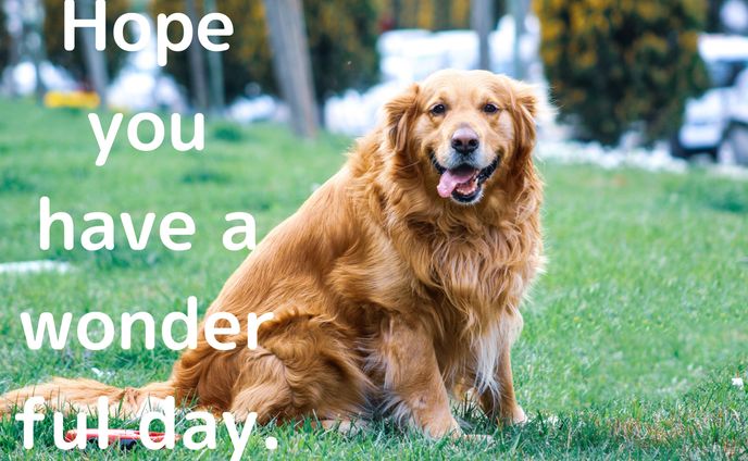 犬好きさんへの 【thank-you card】