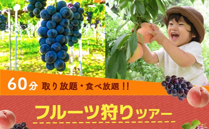 バナー：フルーツ狩り