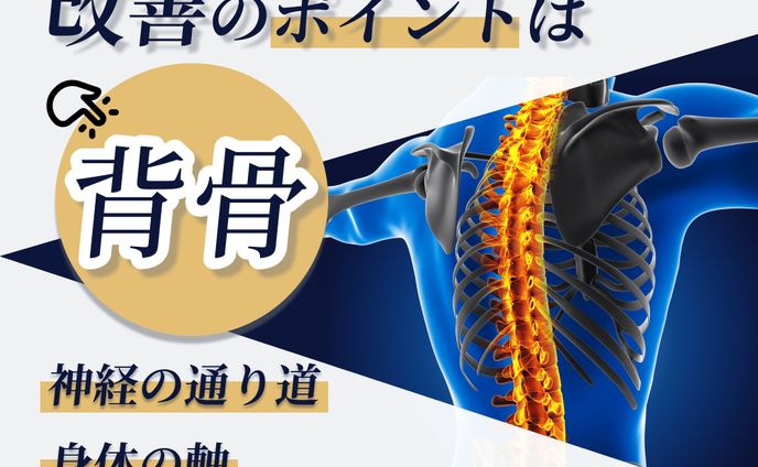 【制作実績】整体 広告バナー